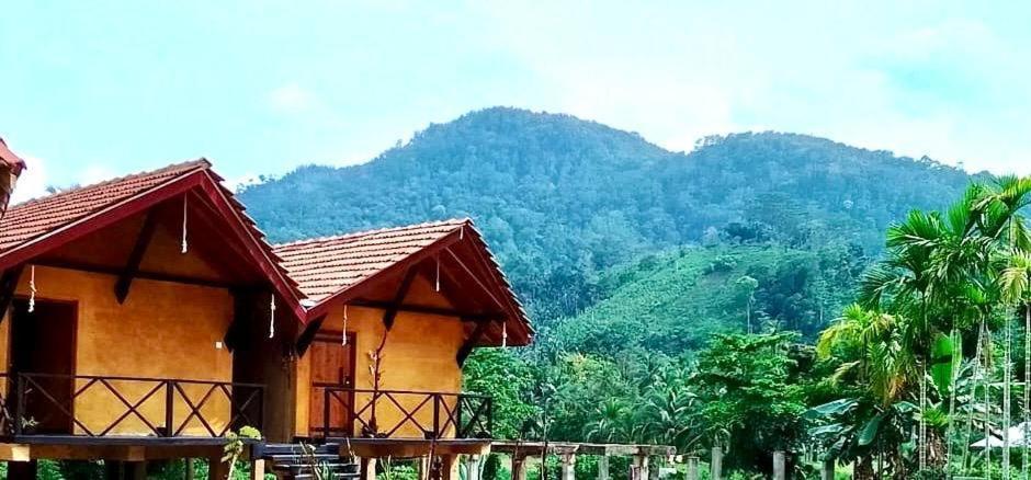 Sinharaja Riverside Deniyaya Pokoj fotografie